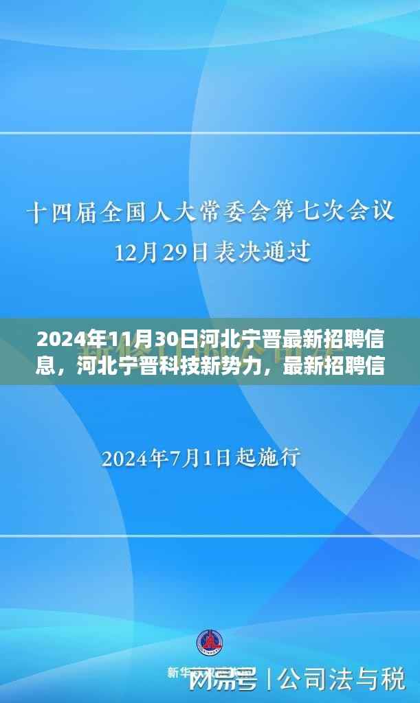 河北宁晋科技新势力,最新招聘信息下的智能未来体验之旅(2024年)