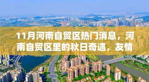 河南自贸区秋日奇遇,友情、家庭与温暖的十一月消息