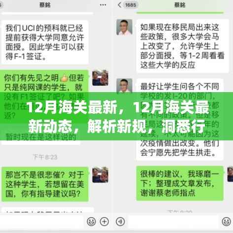 12月海关最新动态解析,新规洞悉与行业变化观察