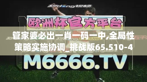 管家婆必出一肖一码一中,全局性策略实施协调_挑战版65.510-4