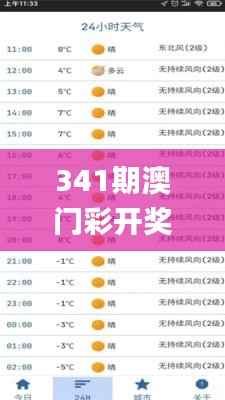 341期澳门彩开奖结果查询,实地解析说明_Premium9.411