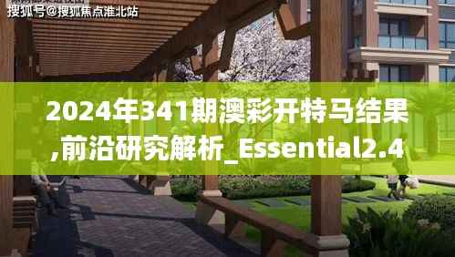 2024年341期澳彩开特马结果,前沿研究解析_Essential2.406