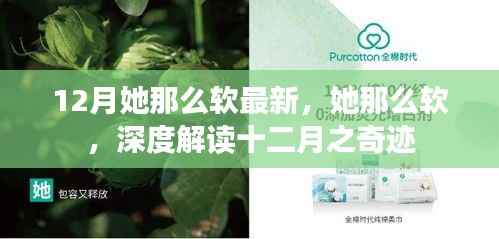 深度解读她那么软,十二月奇迹之最新篇章