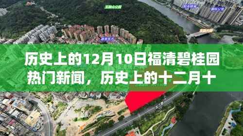 历史上的十二月十日福清碧桂园重大事件回顾与探究，热门新闻回顾与探究