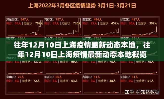往年12月10日上海疫情最新动态概览,本地疫情动态概览及更新信息