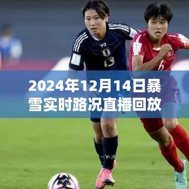 穿越风雪之巅,智能暴雪直播系统体验报告与实时路况直播回放(2024年)