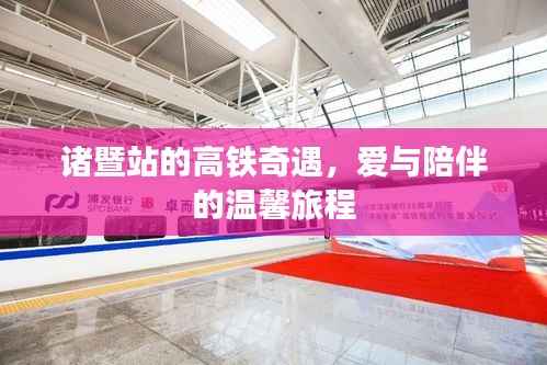 诸暨站高铁奇遇,爱与陪伴的旅程