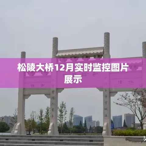 松陵大桥12月实时图片监控展示,桥梁安全一览无余