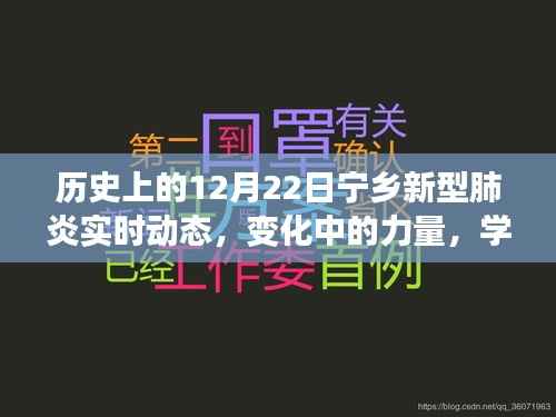 历史上的宁乡新型肺炎实时动态,变化中的力量与自我成就的启示