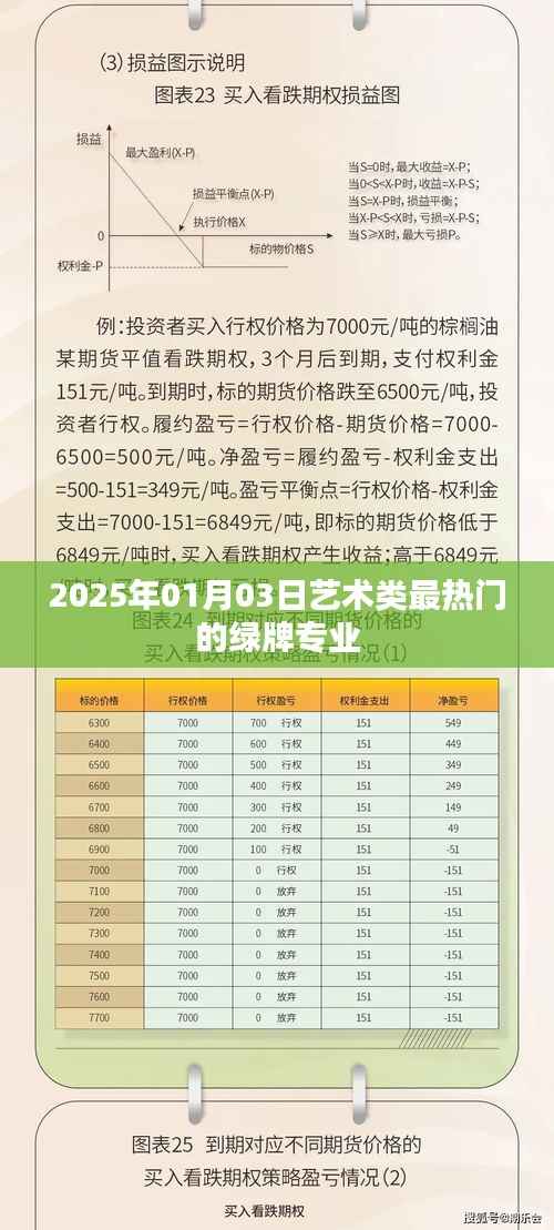揭秘,2025年最火艺术类绿牌专业