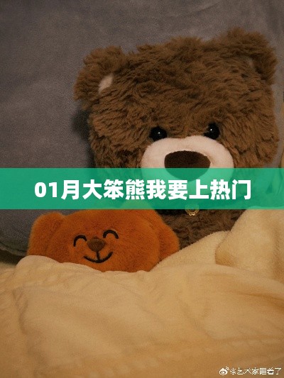 大笨熊一月逆袭,热门之路启程!