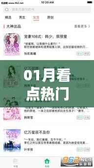 热门小说推荐,一月份必看之选
