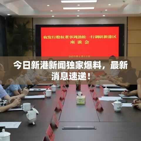 今日新港新闻独家爆料,最新消息速递!
