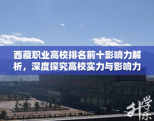 西藏职业高校排名前十影响力解析,深度探究高校实力与影响力