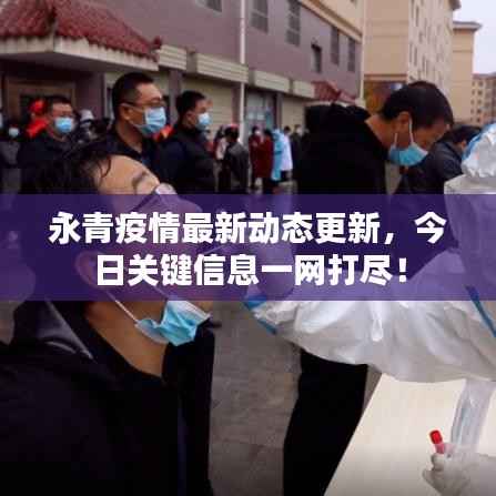 永青疫情最新动态更新,今日关键信息一网打尽!