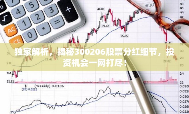 独家解析,揭秘300206股票分红细节,投资机会一网打尽!