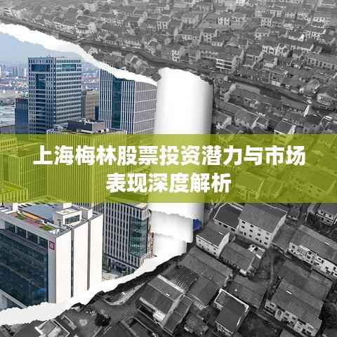 上海梅林股票投资潜力与市场表现深度解析