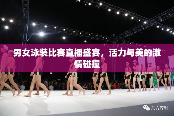 男女泳装比赛直播盛宴，活力与美的激情碰撞