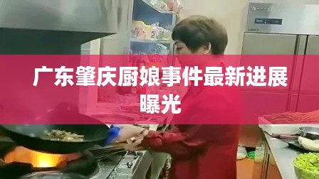 广东肇庆厨娘事件最新进展曝光