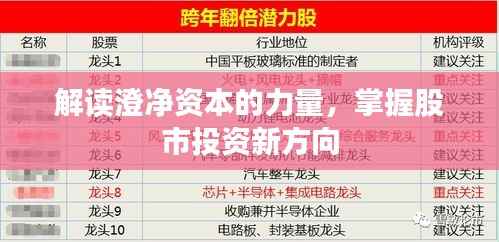 解读澄净资本的力量,掌握股市投资新方向
