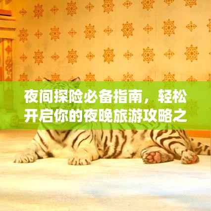 夜间探险必备指南，轻松开启你的夜晚旅游攻略之旅！