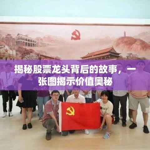 揭秘股票龙头背后的故事,一张图揭示价值奥秘