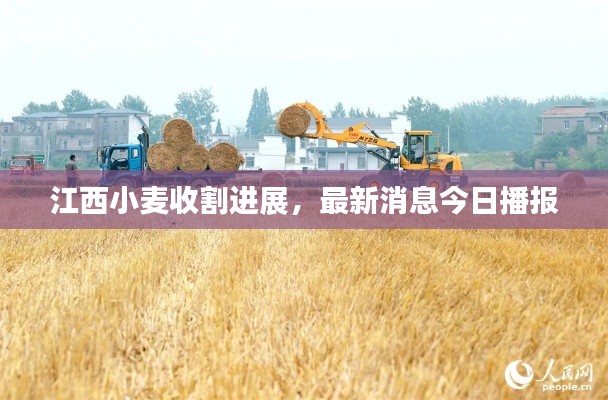 犯而不校