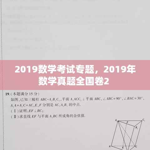 2019数学考试专题，2019年数学真题全国卷2 