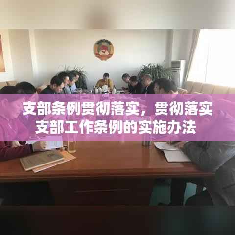 支部条例贯彻落实,贯彻落实支部工作条例的实施办法