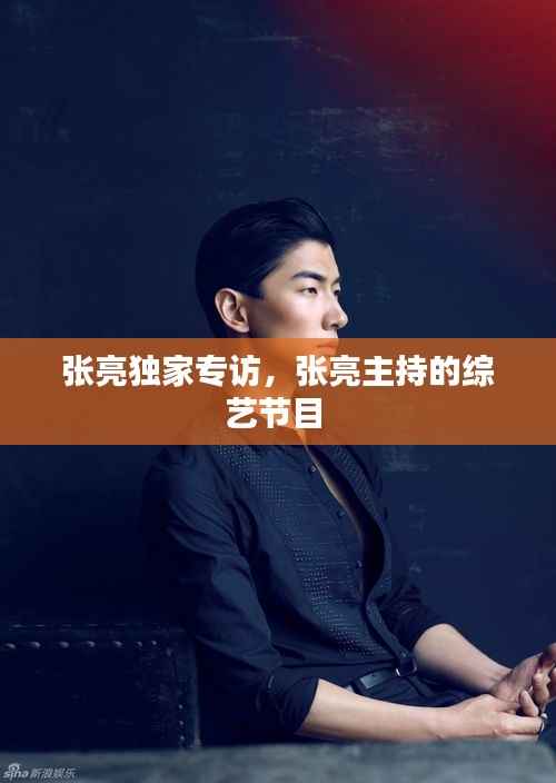 张亮独家专访,张亮主持的综艺节目