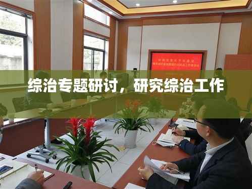 综治专题研讨，研究综治工作 