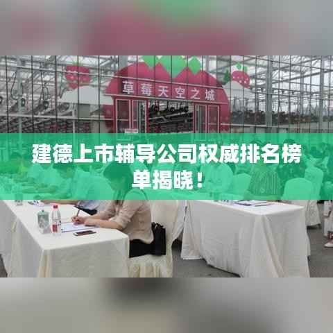 建德上市辅导公司权威排名榜单揭晓！