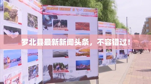 罗北县最新新闻头条,不容错过!